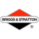 Двигатели Briggs-Stratton в Сочи